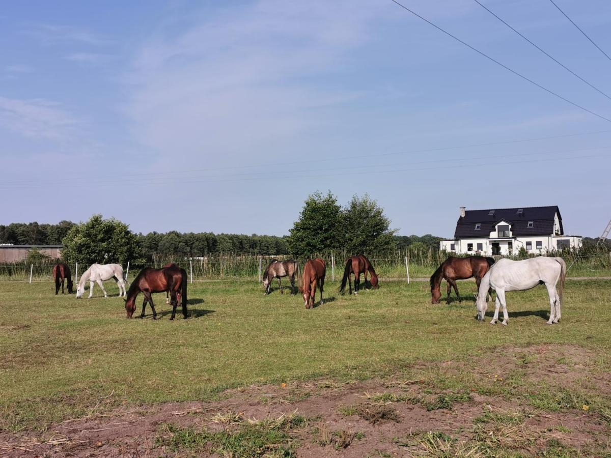 Domek Leba Nowecin Buitenkant foto