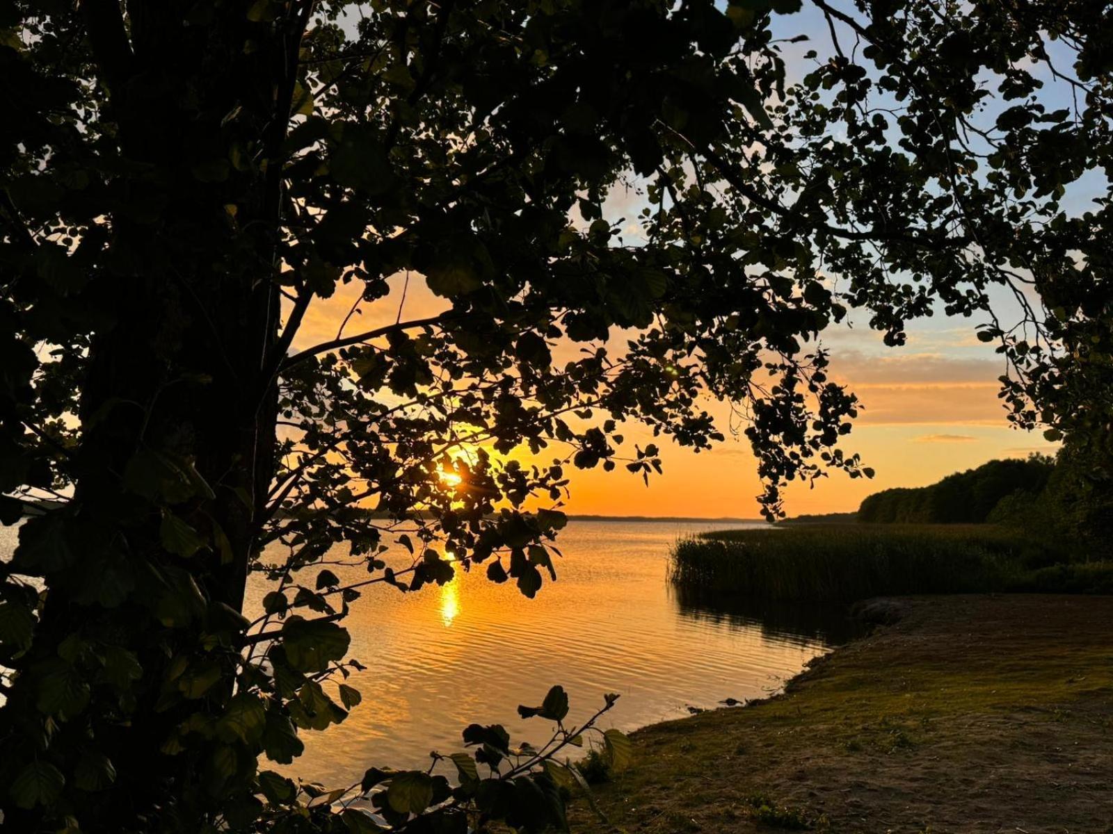 Domek Leba Nowecin Buitenkant foto