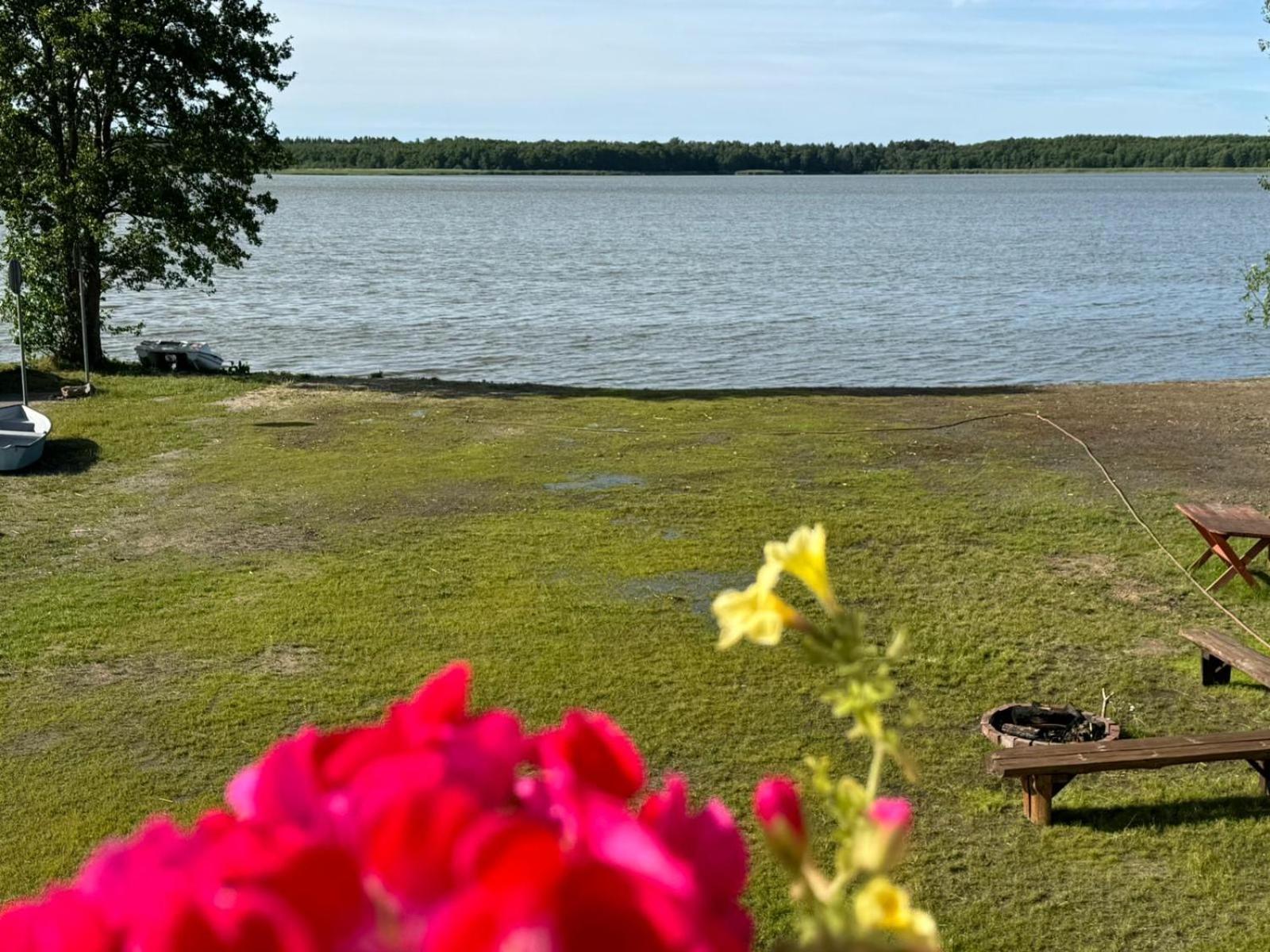 Domek Leba Nowecin Buitenkant foto