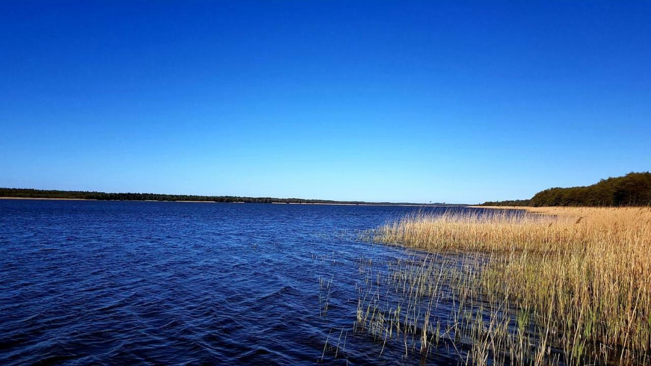 Domek Leba Nowecin Buitenkant foto